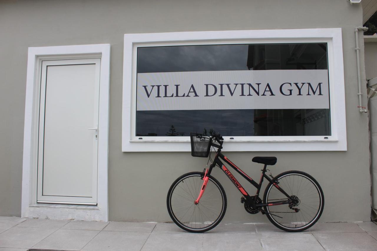 Divina Apartament *